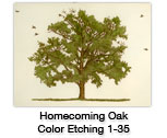 Homecoming Oak — etching 1-35C