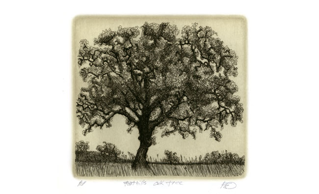 Foothills Oak — etching 1-20K