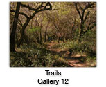 Trails Photo Gallery 12