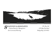Shannon and Associates Logo and Stationary