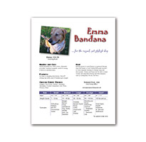 Four color multi-use ad and point of sale display