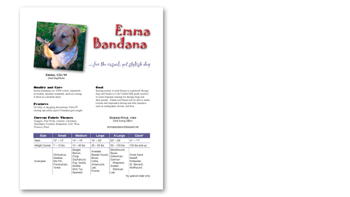 point of sale display card